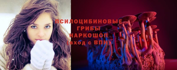 дживик Козельск