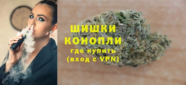 дживик Козельск