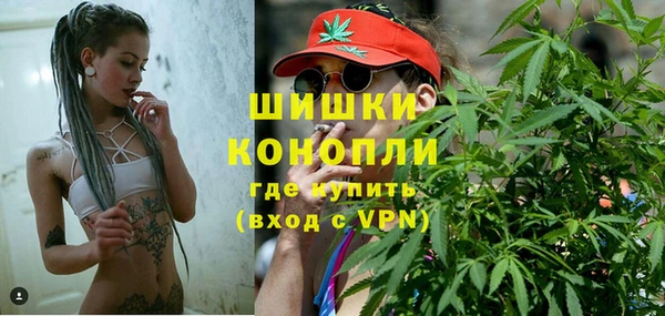 spice Козловка