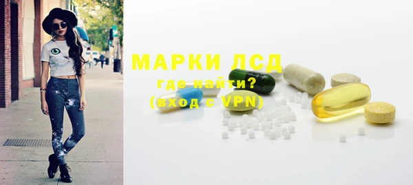 дживик Козельск