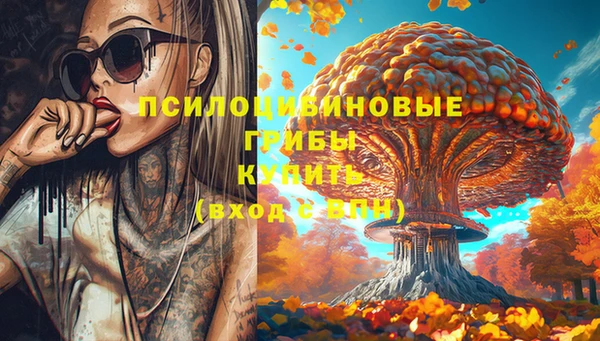 мдпв Кодинск