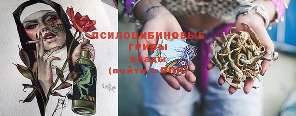 дживик Козельск
