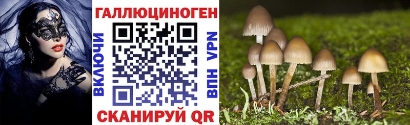 Купить где  Бугуруслан  Псилоцибиновые грибы Psilocybe 